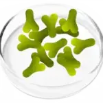 FemiCore Lactobacillus Acidophilus